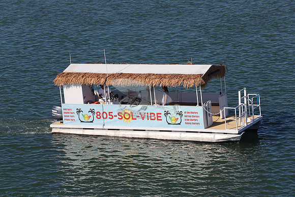 805solvibe2