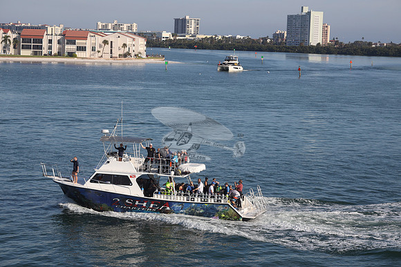 2 shea charters.clearwater fl.0191