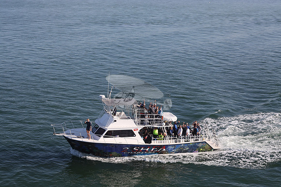 2 shea charters.clearwater fl.0194