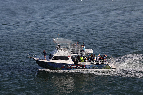 2 shea charters.clearwater fl.0192