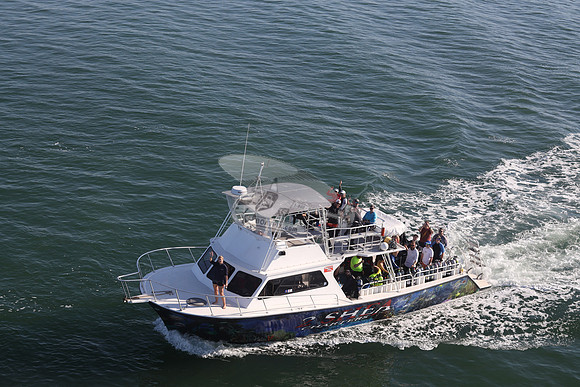 2 shea charters.clearwater fl.0197
