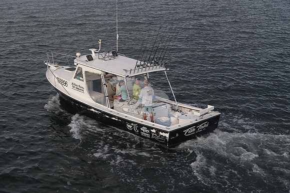 1188896.fish tales.treasure island fl.9214