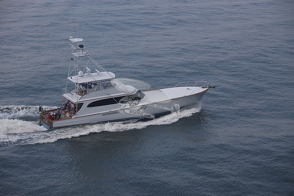 BEAST.PALM BEACH FL.037