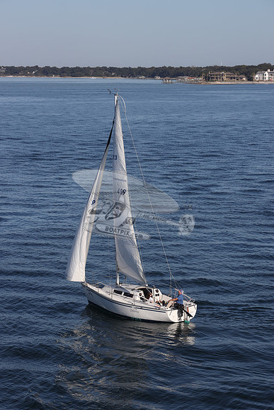 409.DELPHINA.FL6669GL.03