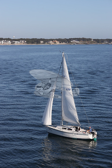 409.DELPHINA.FL6669GL.04