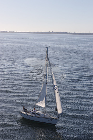 409.DELPHINA.FL6669GL.05