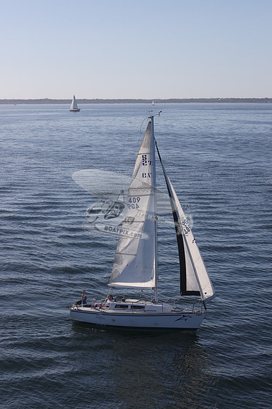 409.DELPHINA.FL6669GL.07