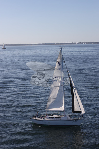 409.DELPHINA.FL6669GL.08