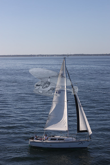 409.DELPHINA.FL6669GL.09