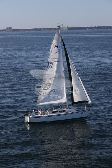 409.DELPHINA.FL6669GL.12
