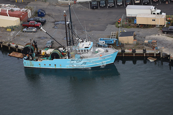 620472.MARGUERITE C.4