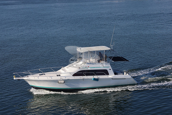 Columbo.port charlotte.1106