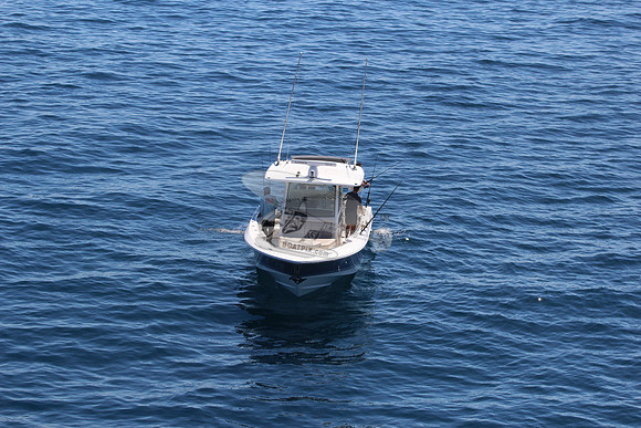 boston whaler.blue hull.3 merc 400.6220