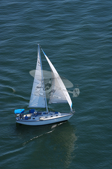 00000.serenity.mc3050lm.001044