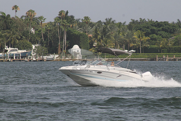 CROWNLINE.GRAY TOP.03