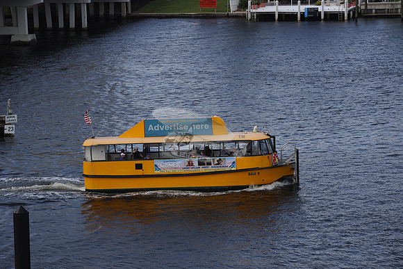 DALE R.8917