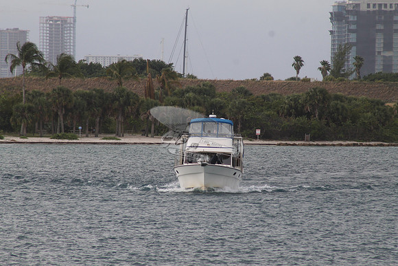 ANATINI.PORT ST LUCIE FL.02