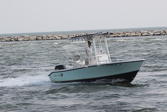 DL4309AA.2