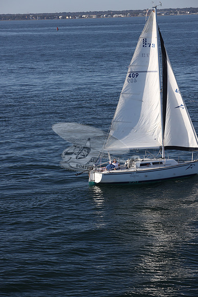 409.DELPHINA.FL6669GL.14