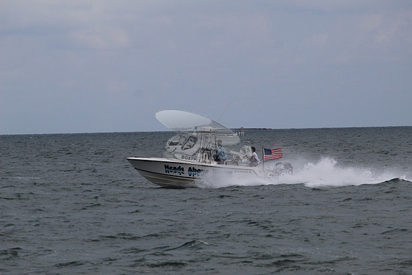 FL3131MJ.HEADS ABOVE WATER.11