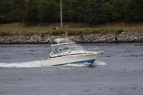 archangel ii.e sandwich ma.5508