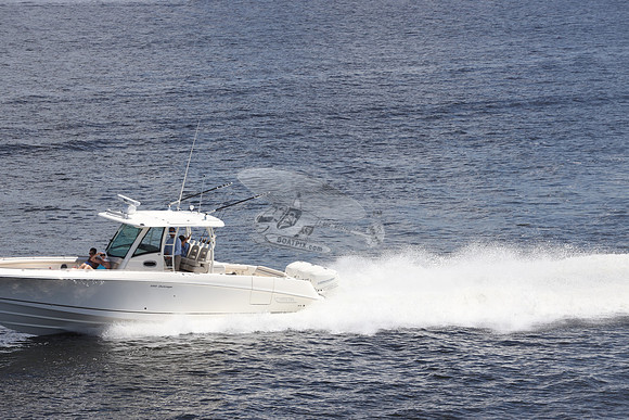 boston whaler.350 outrage.3 merc.02