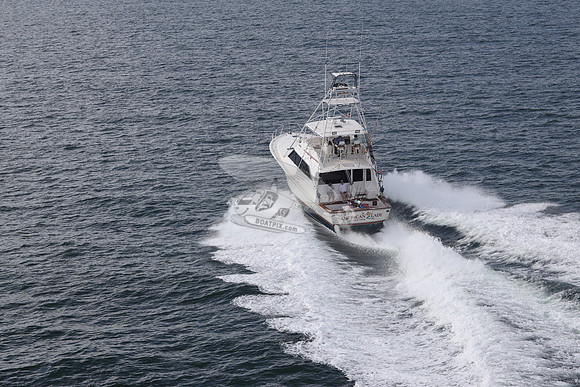american lady.ocean view de.2184