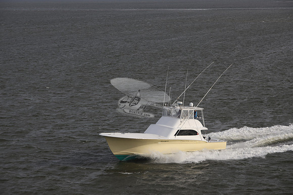 yellowfin.morehead city.3503
