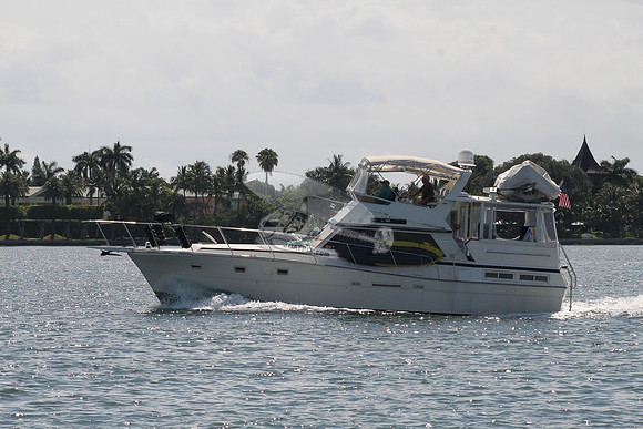 BEL DI.VIKING.5