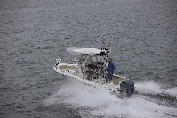 fl9552er.03