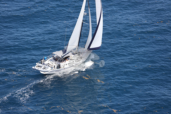 ELIZABETH ANN.ROYAL OAK MI.35