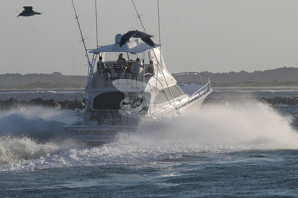 chain reaction.ocean city md.9960