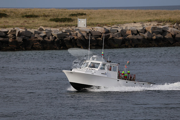 ms8866hy.06