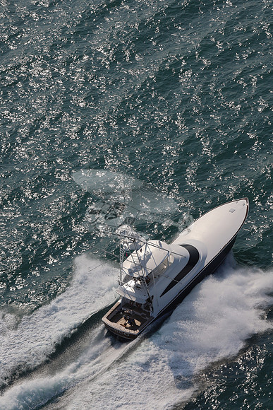 Amigo.01