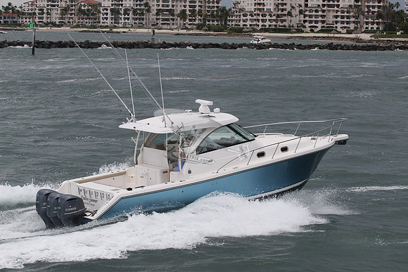 ENDLESS SUMMER.COCO GRV FL.PURSUIT38.5