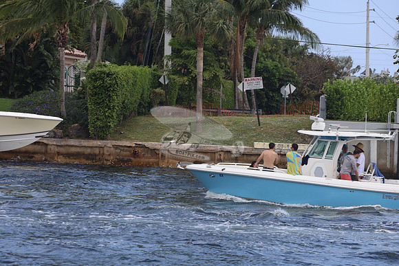 EVERGLADES.BLUE.134