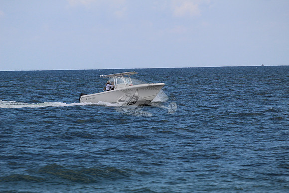 FL3719TA.03