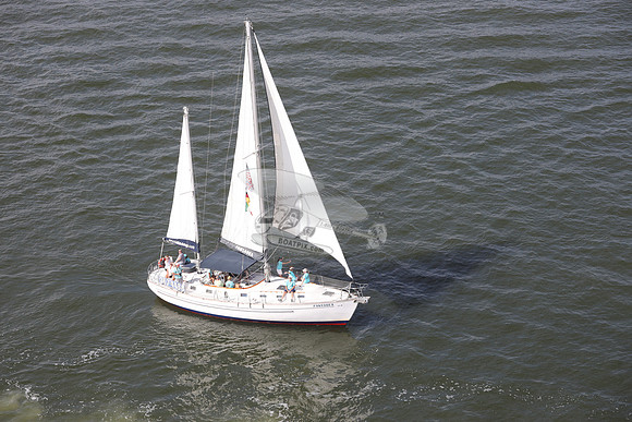 fantasea.1234