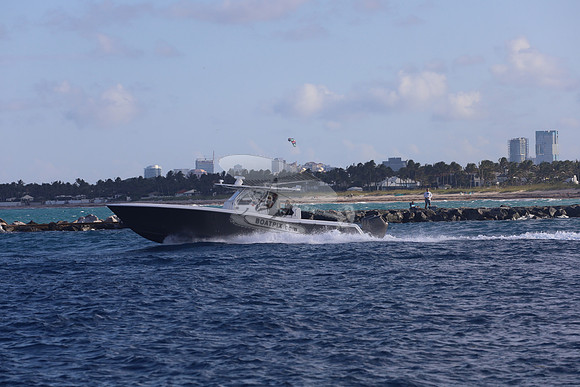 Caryali.01