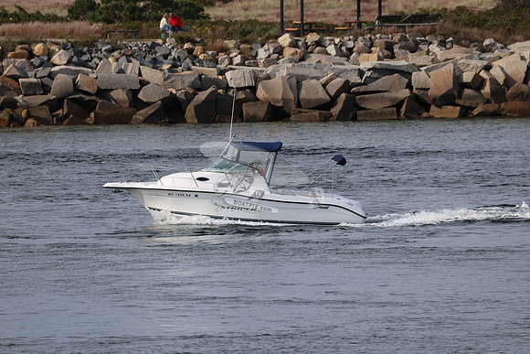 MS7298BA.09