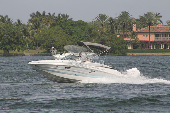 CROWNLINE.GRAY TOP.06