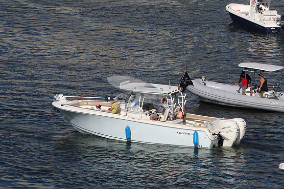 AQUAHOLIC.SAILFISH.190