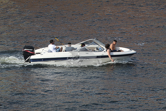 BAYLINER.WHITE BLUE.41