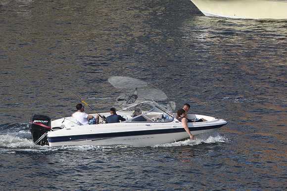 BAYLINER.WHITE BLUE.42