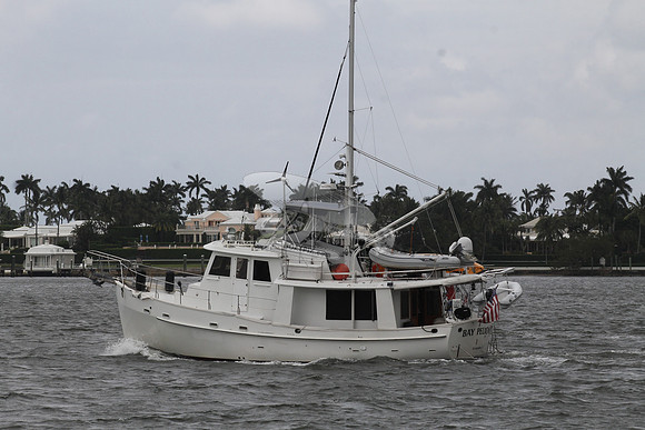 BAY PELICAN.FL7311.....06