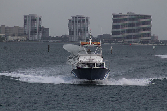 AURELIA.SINGER ISLAND FL.2