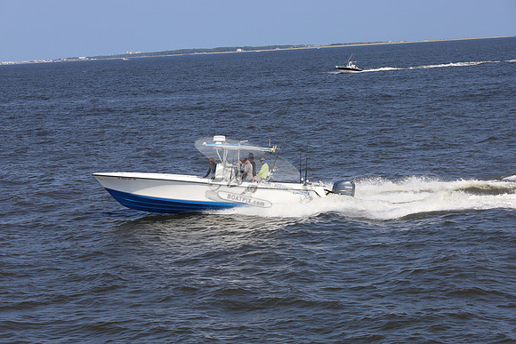 al0065rf.13