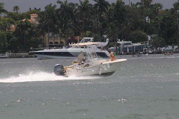 FL0786SX.12
