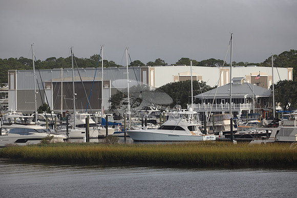 BLUE NIXIE.BALD HEAR ISLAND NC.2