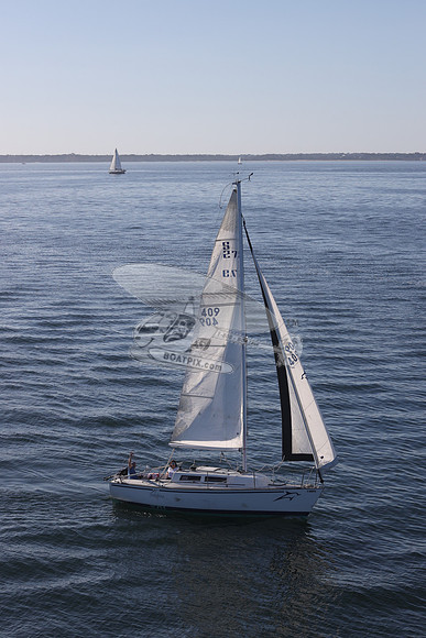 409.DELPHINA.FL6669GL.07
